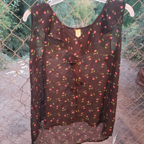 transparent top - Picture 1 of 4